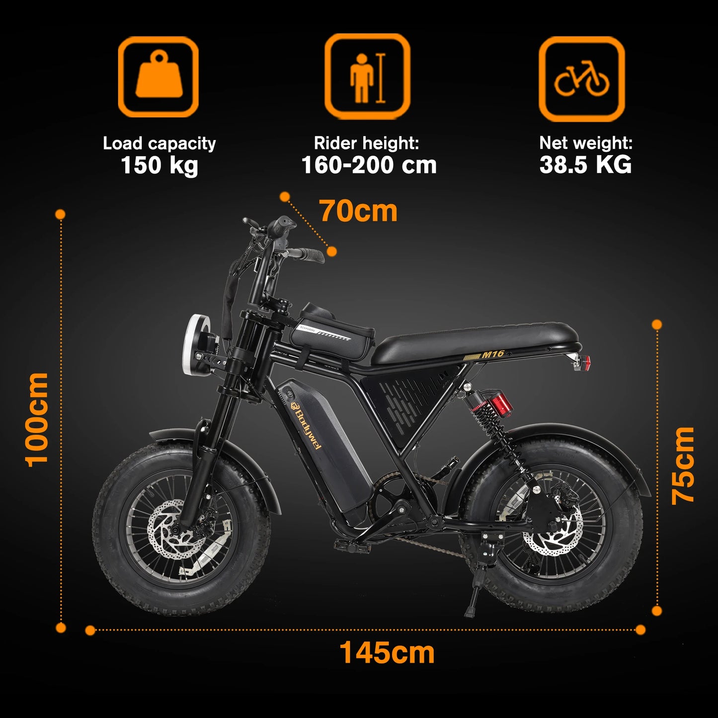 Bodywel M16PRO Electric Mountain Bike With Fat Tires