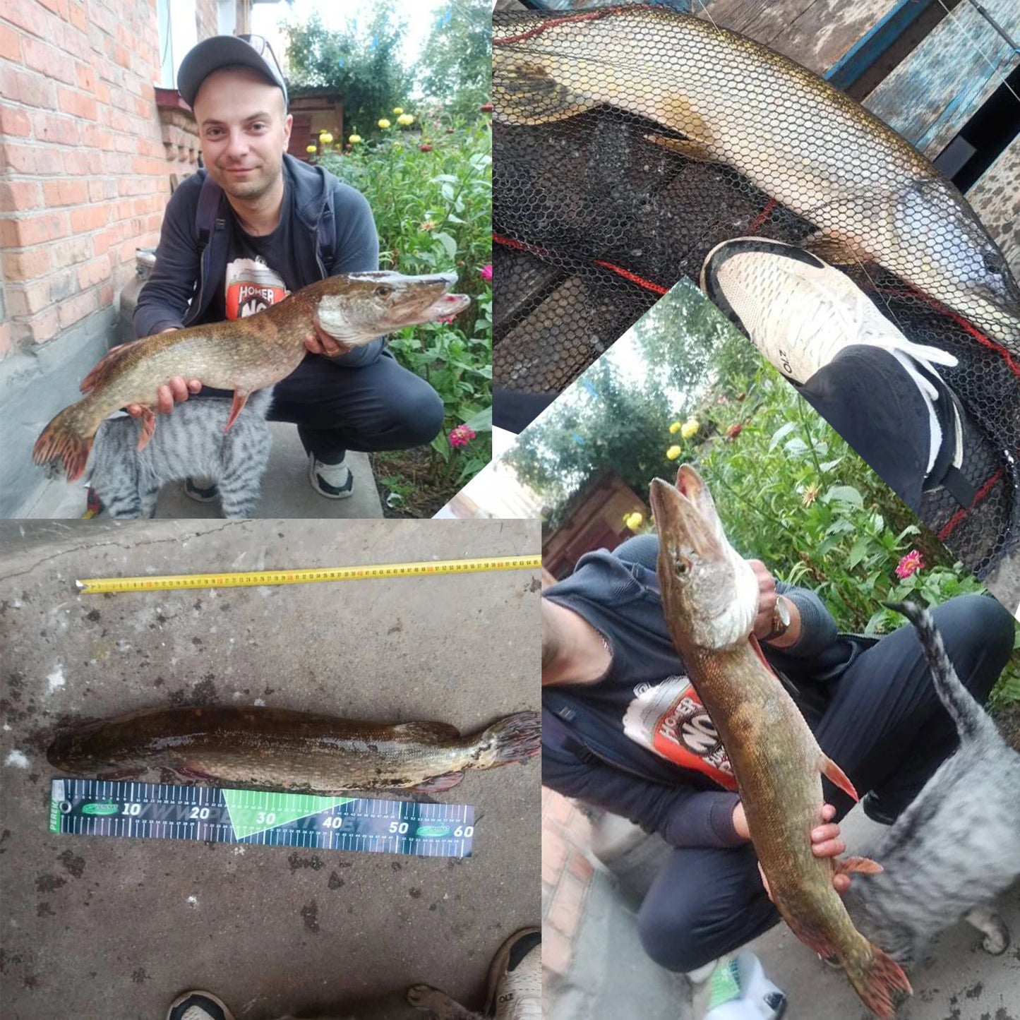 BIUTIFU BigFish Carp Surfcasting Rod T800 Carbon 40 to 200g