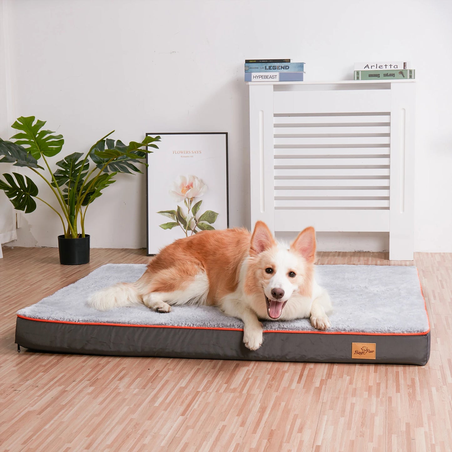 BINGOPAW Orthopedic Dog Bed Memory Foam Waterproof With Removable Cover