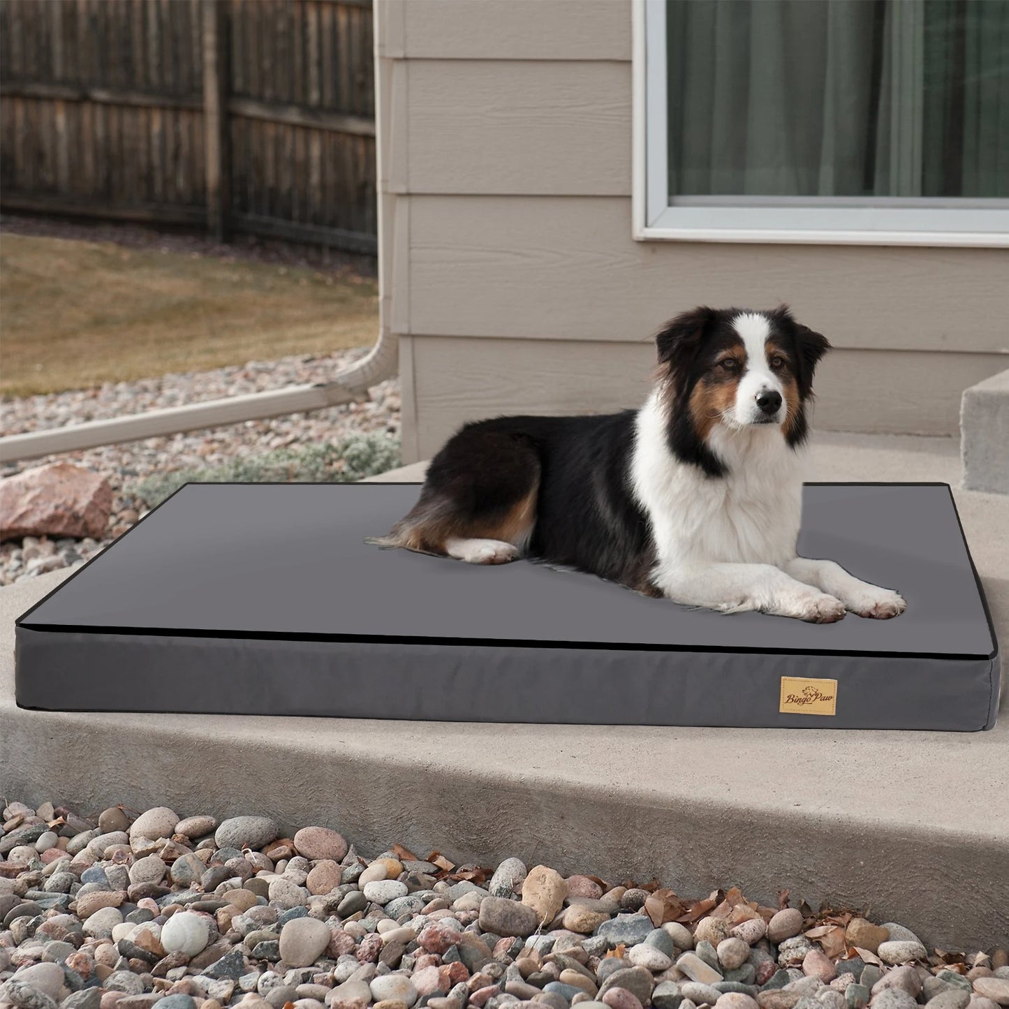 BINGOPAW Washable Orthopedic Dog Bed With Foam Sponge