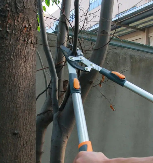 Heavy Duty Telescopic Pruning Shears For Cutting Thick Branches