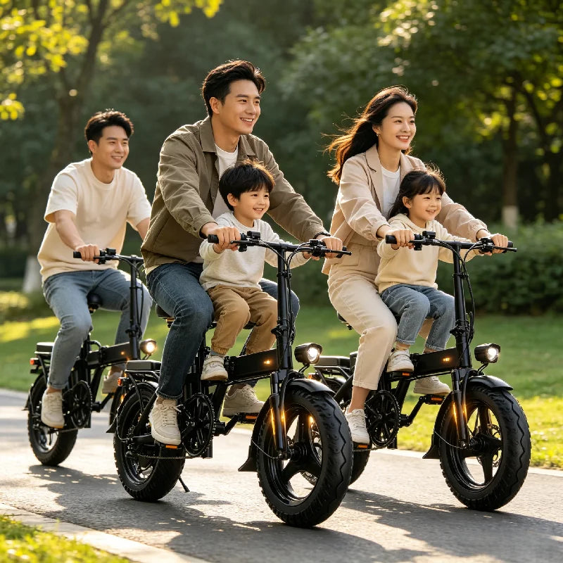 Zefiora Foldable 14 Inch Electric Bike With Brushless Motor
