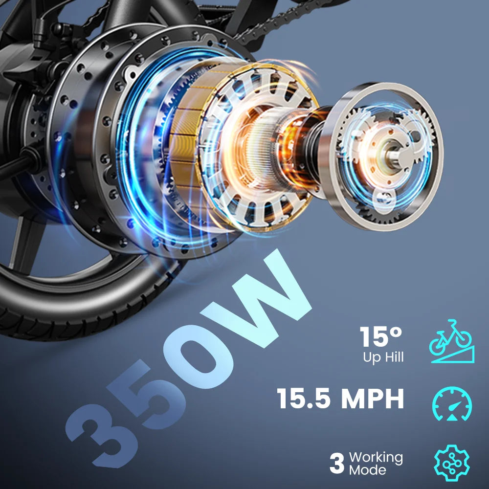 DYU D3F Folding Electric Bike 500W Peak Motor