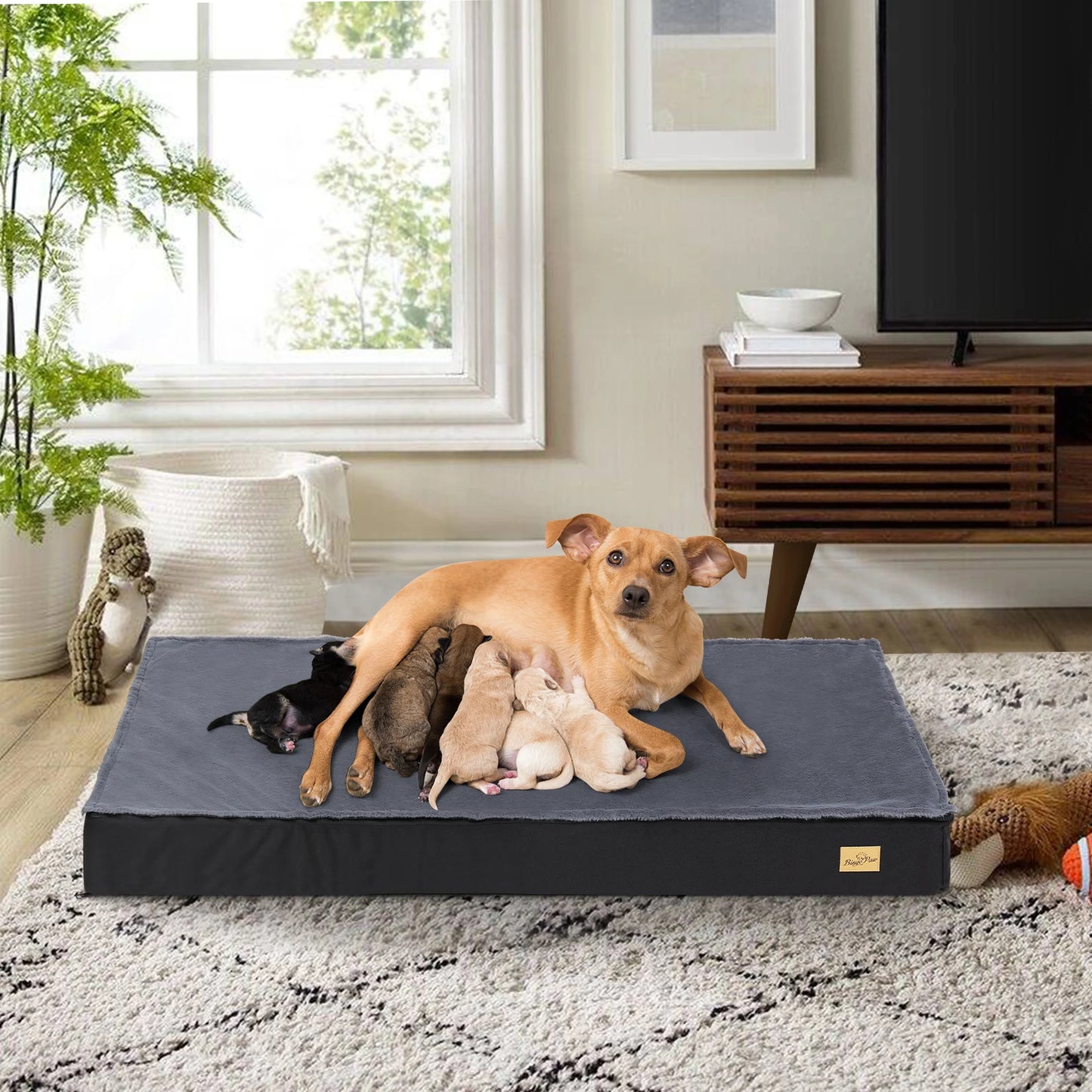 BINGOPAW Washable Orthopedic Dog Bed With Foam Sponge