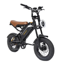 Bodywel M16PRO Electric Mountain Bike With Fat Tires