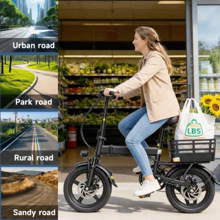 14 Inch Folding Electric Bike 500W Peak Motor