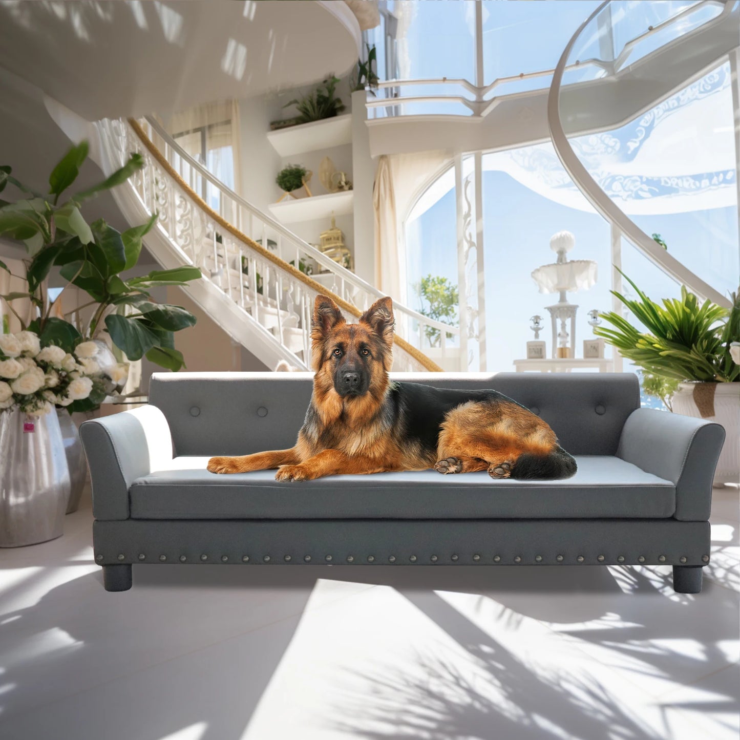 BINGOPAW Elevated Rectangle Dog Bed for Indoor Comfort and Support