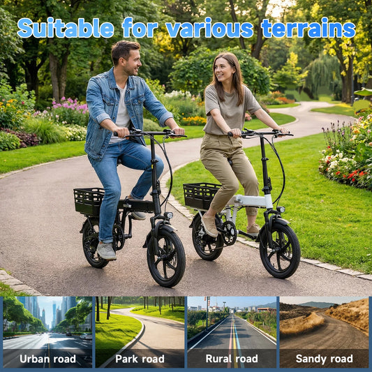 14 Inch Folding Electric Bike 500W Peak Motor