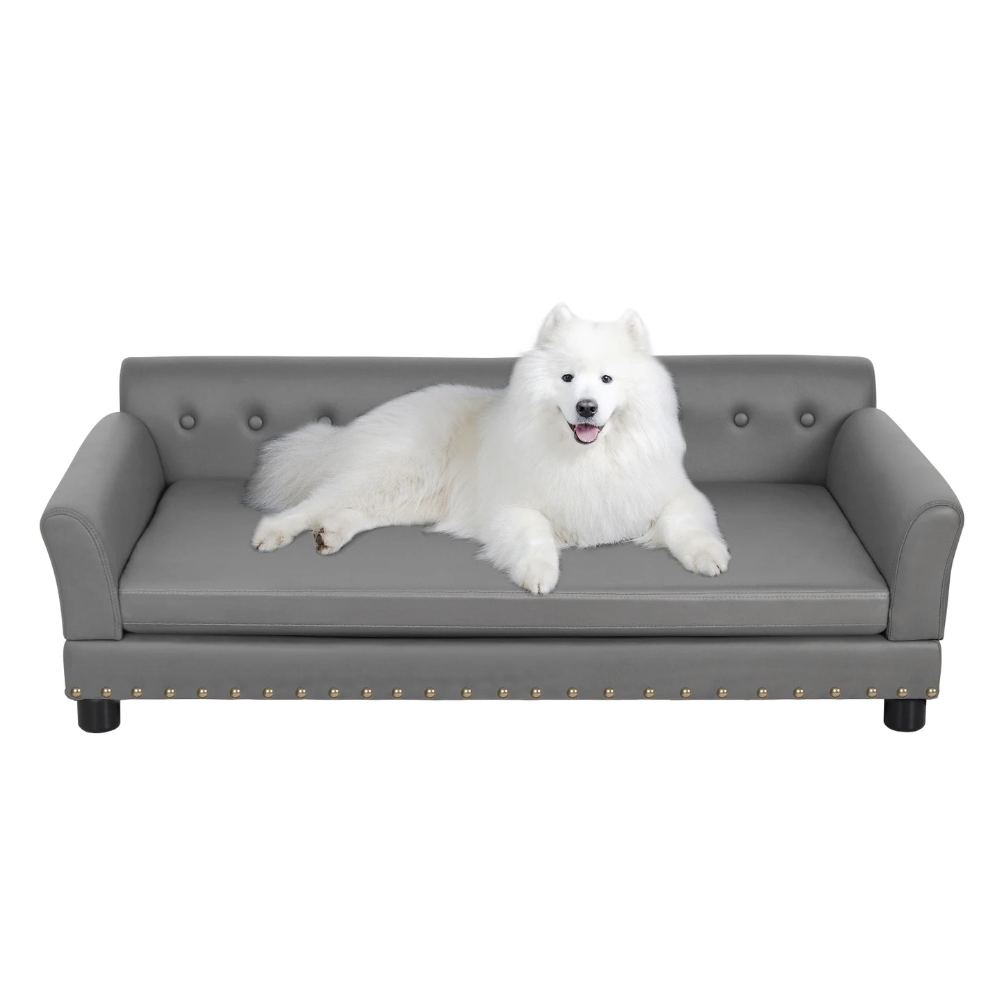 BINGOPAW Elevated Rectangle Dog Bed for Indoor Comfort and Support