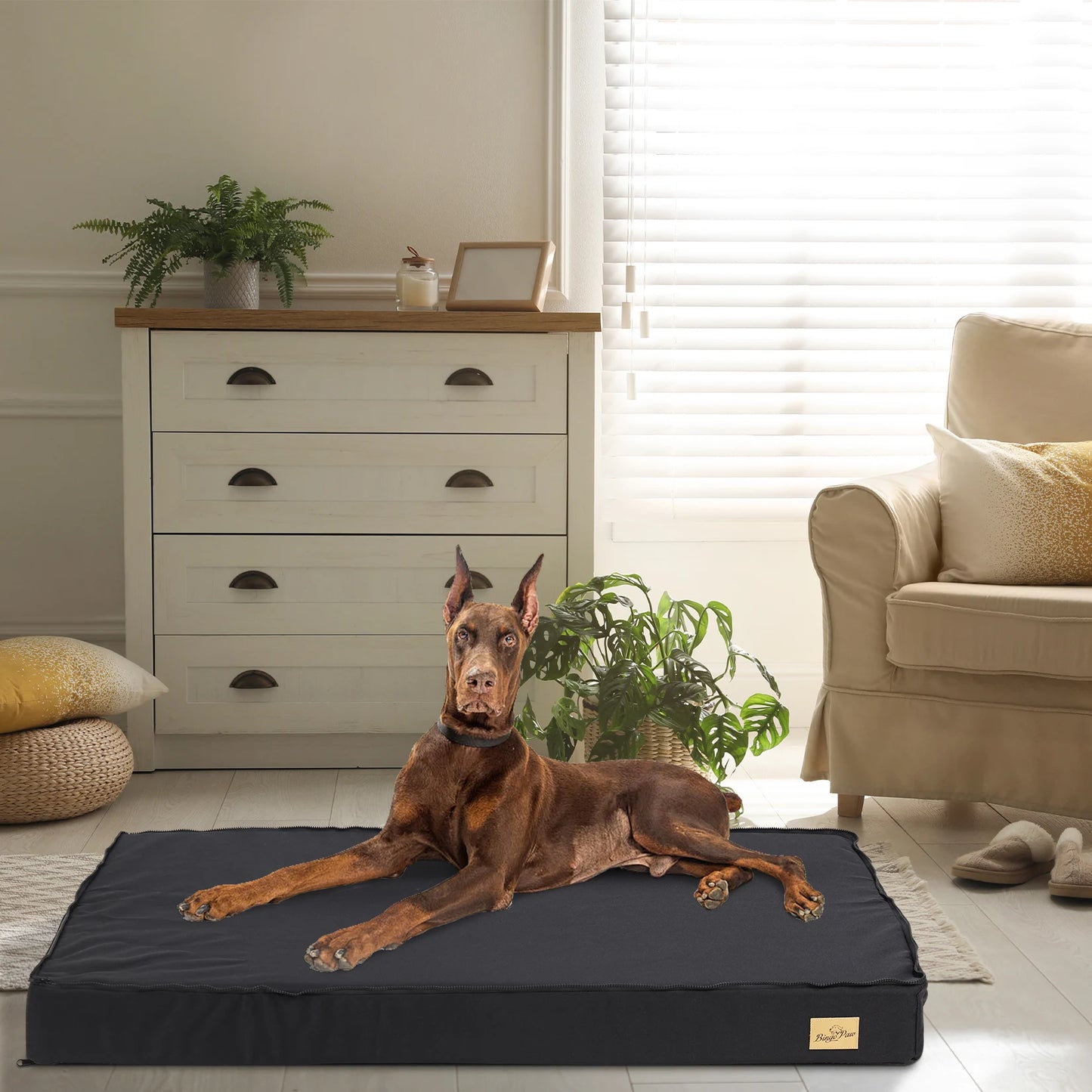 BINGOPAW Washable Orthopedic Dog Bed With Foam Sponge