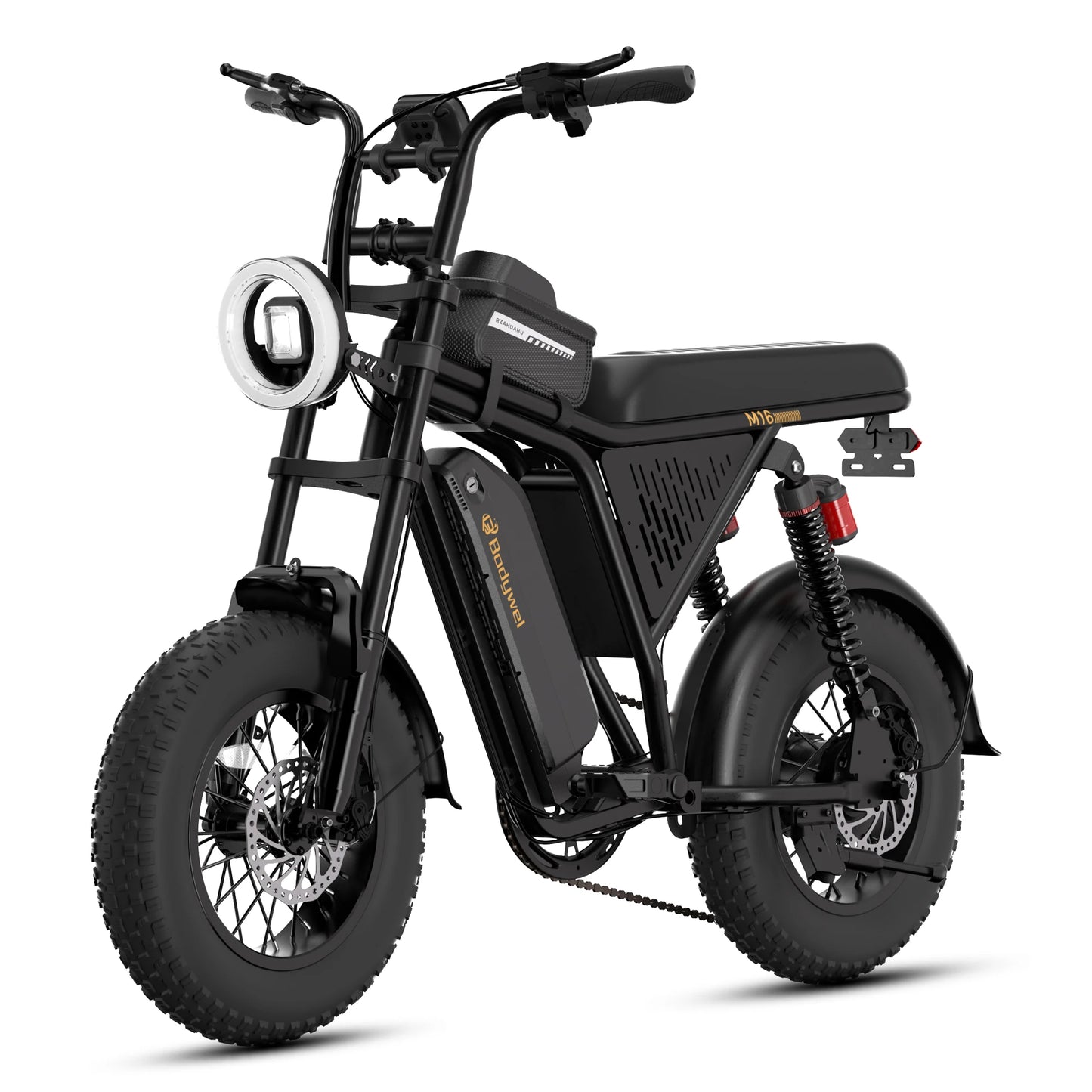 Bodywel M16PRO Electric Mountain Bike With Fat Tires