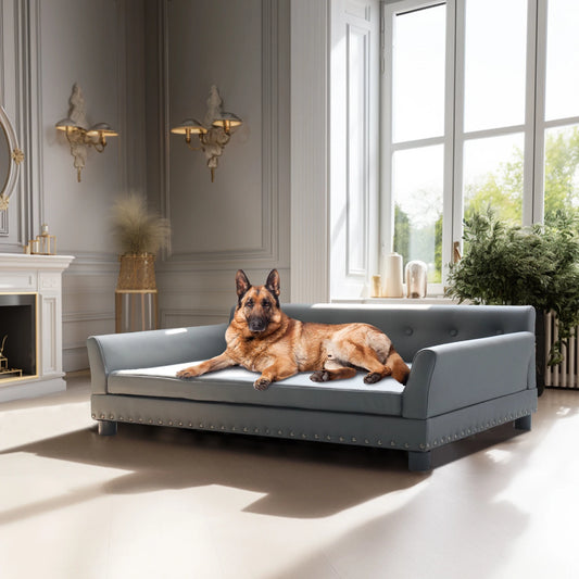 BINGOPAW Elevated Rectangle Dog Bed for Indoor Comfort and Support
