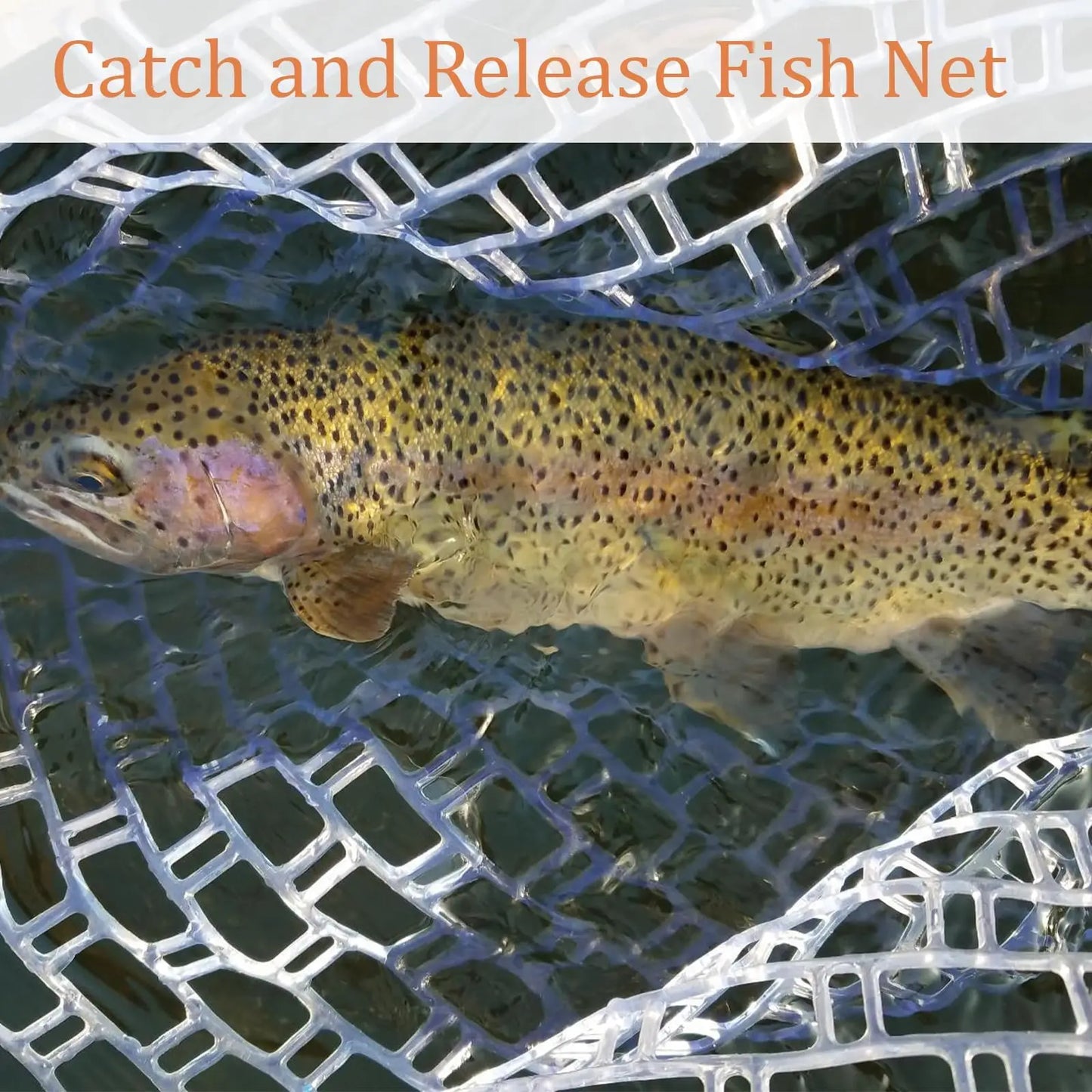Fly Fishing Landing Net With Soft Knotless Rubber Mesh For Catch And Release