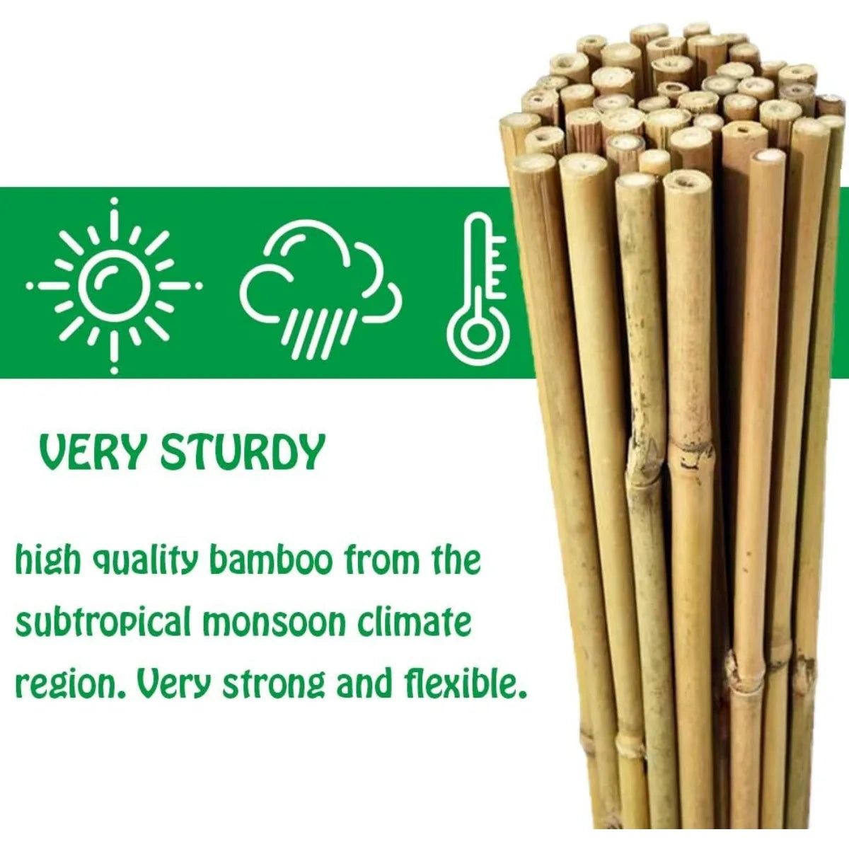 XIUWO Natural Bamboo Garden Stakes For Climbing Plants 30 Pack