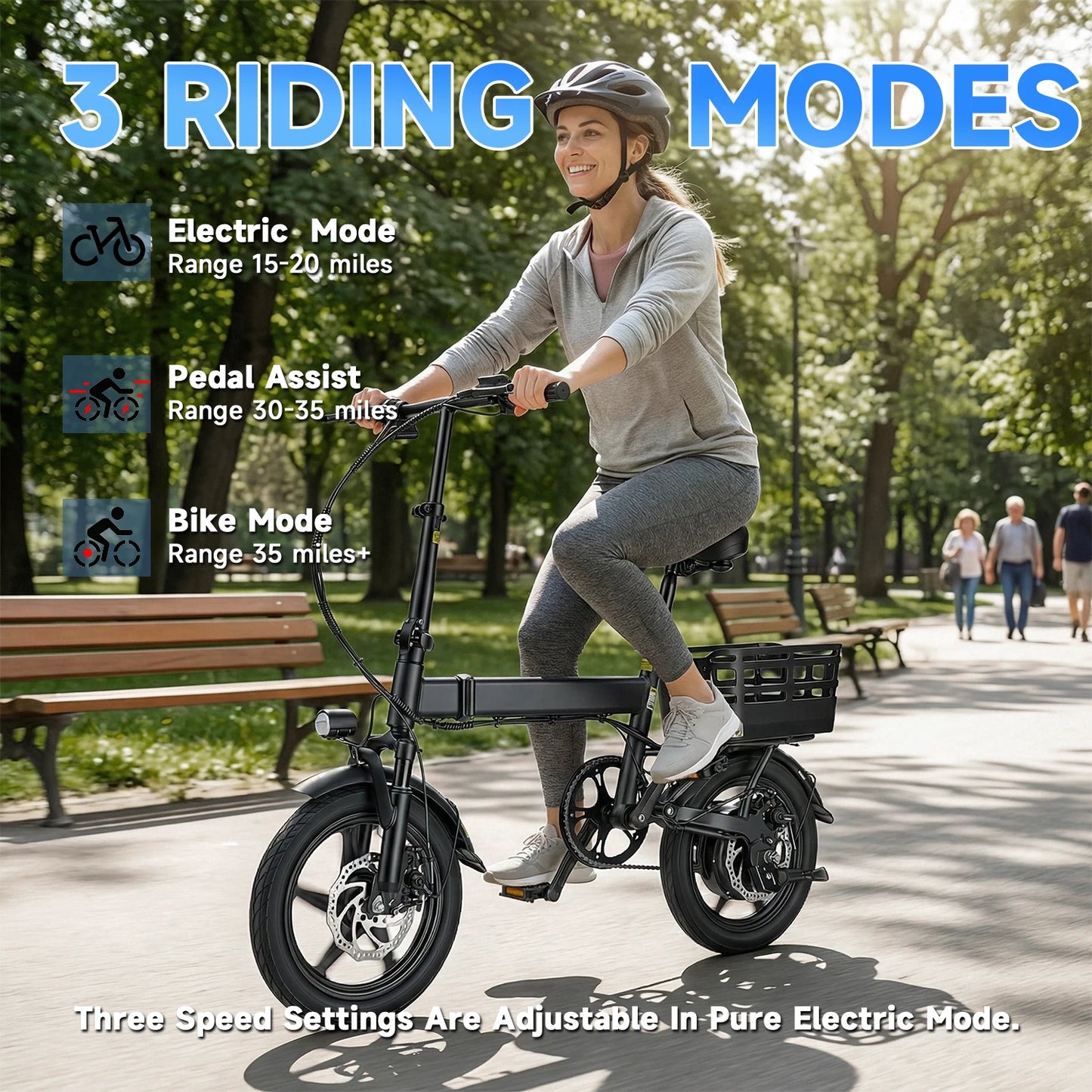 14 Inch Folding Electric Bike 500W Peak Motor