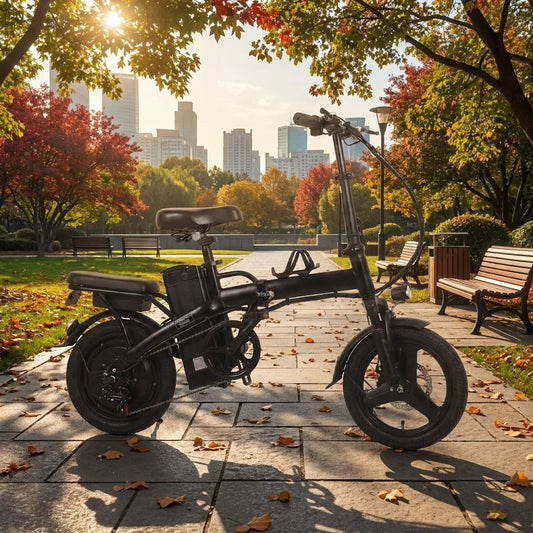 Adult 400W Folding Electric Bike With 48V Battery