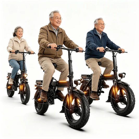 Zefiora 14 Inch Foldable Electric Bicycle 500W