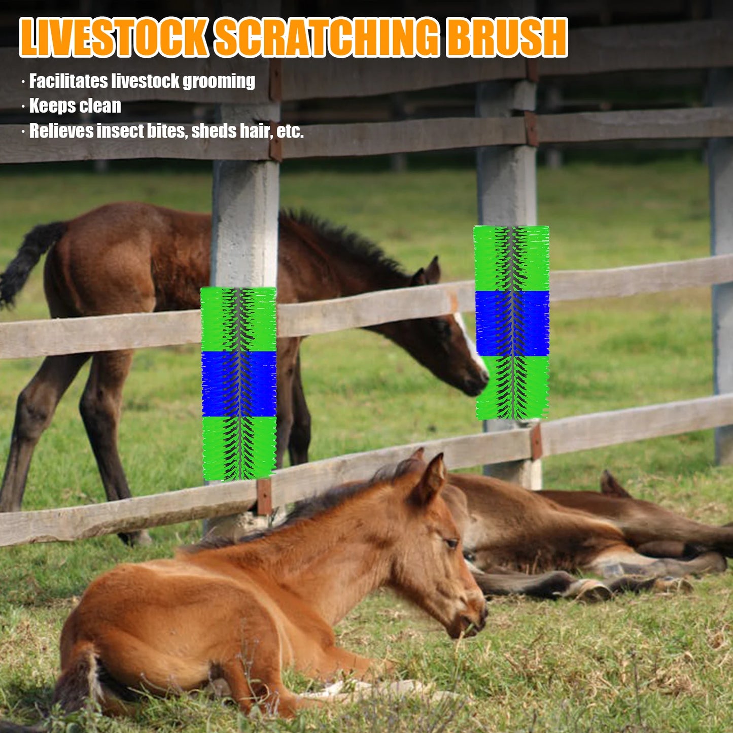 Flexible Livestock Scratching Brush Kit Heavy Duty Horse Goat Scratcher